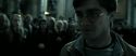 RdM2-Potterish_04489.jpg