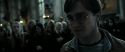 RdM2-Potterish_04506.jpg