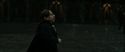 RdM2-Potterish_04909.jpg