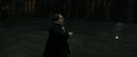 RdM2-Potterish_04910.jpg