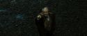 RdM2-Potterish_04925.jpg