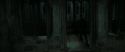 RdM2-Potterish_05156.jpg