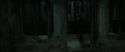 RdM2-Potterish_05157.jpg