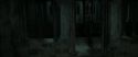 RdM2-Potterish_05158.jpg