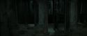 RdM2-Potterish_05160.jpg