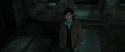 RdM2-Potterish_05204.jpg