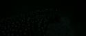 RdM2-Potterish_05308.jpg