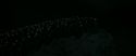 RdM2-Potterish_05313.jpg