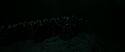 RdM2-Potterish_05321.jpg