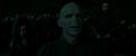 RdM2-Potterish_05352.jpg