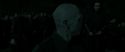 RdM2-Potterish_05355.jpg
