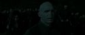 RdM2-Potterish_05365.jpg