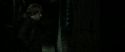RdM2-Potterish_05726.jpg