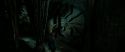 RdM2-Potterish_05749.jpg