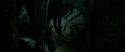 RdM2-Potterish_05751.jpg