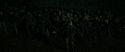 RdM2-Potterish_05847.jpg