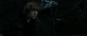 RdM2-Potterish_05946.jpg