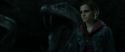 RdM2-Potterish_05951.jpg