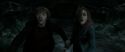 RdM2-Potterish_05978.jpg