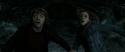 RdM2-Potterish_05979.jpg