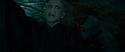 RdM2-Potterish_06049.jpg