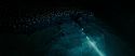 RdM2-Potterish_06057.jpg