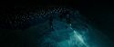RdM2-Potterish_06058.jpg