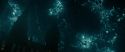 RdM2-Potterish_06069.jpg