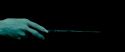 RdM2-Potterish_06092.jpg