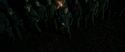 RdM2-Potterish_06158.jpg