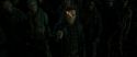 RdM2-Potterish_06166.jpg