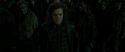 RdM2-Potterish_06172.jpg