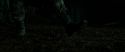 RdM2-Potterish_06184.jpg
