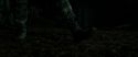 RdM2-Potterish_06187.jpg