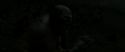 RdM2-Potterish_06312.jpg