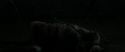 RdM2-Potterish_06335.jpg