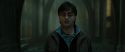 RdM2-Potterish_06513.jpg