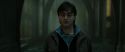 RdM2-Potterish_06514.jpg