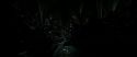 RdM2-Potterish_06602.jpg