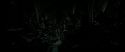 RdM2-Potterish_06613.jpg