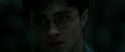 RdM2-Potterish_06624.jpg