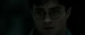 RdM2-Potterish_06625.jpg