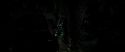 RdM2-Potterish_06647.jpg
