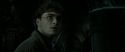 RdM2-Potterish_06718.jpg