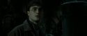 RdM2-Potterish_06721.jpg
