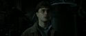 RdM2-Potterish_06725.jpg