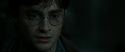RdM2-Potterish_06735.jpg