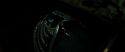 RdM2-Potterish_06771.jpg
