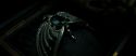 RdM2-Potterish_06774.jpg