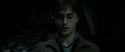 RdM2-Potterish_06777.jpg